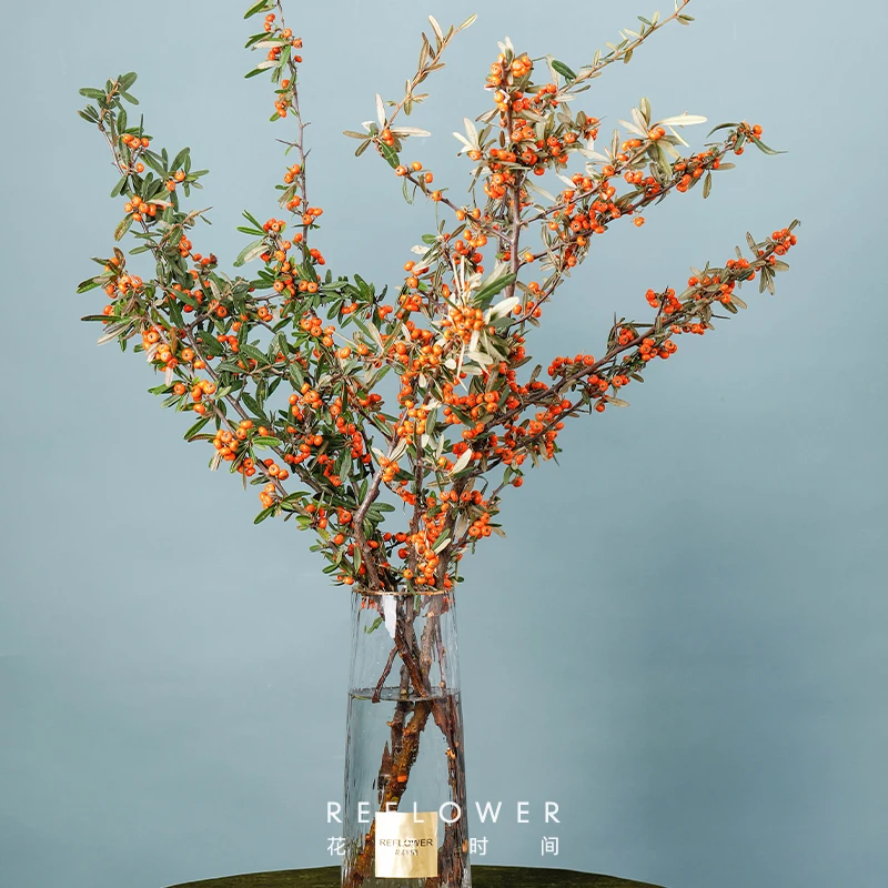【店铺专享】花点时间火棘果切枝橙色系5枝