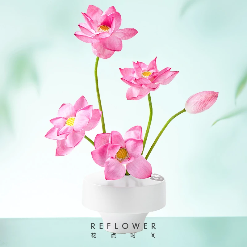 【店铺专享】花点时间荷花鲜花花束荷花5枝