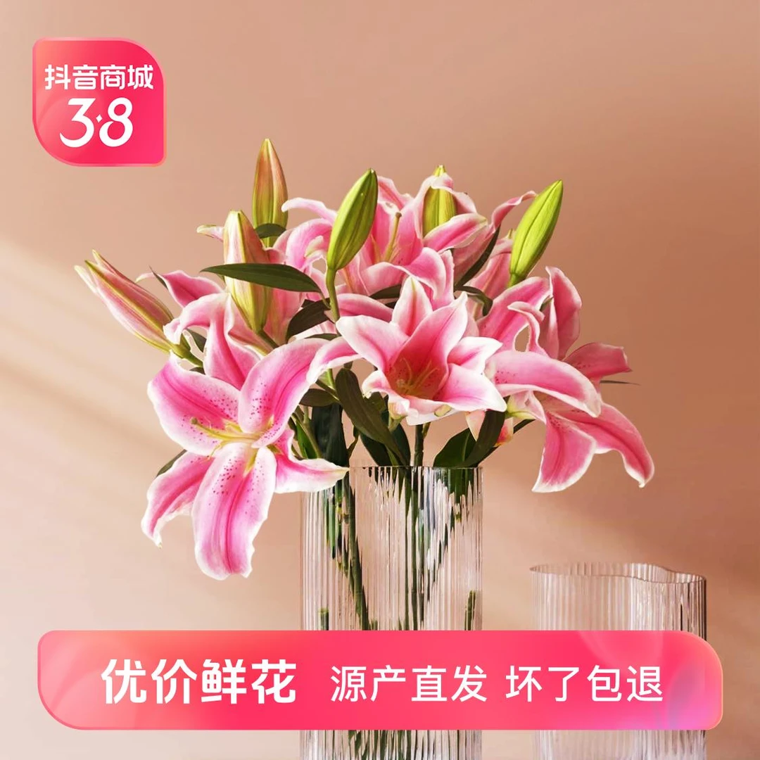 双头百合高品质云南鲜切花粉色5枝10个花头星花怒放花点时间