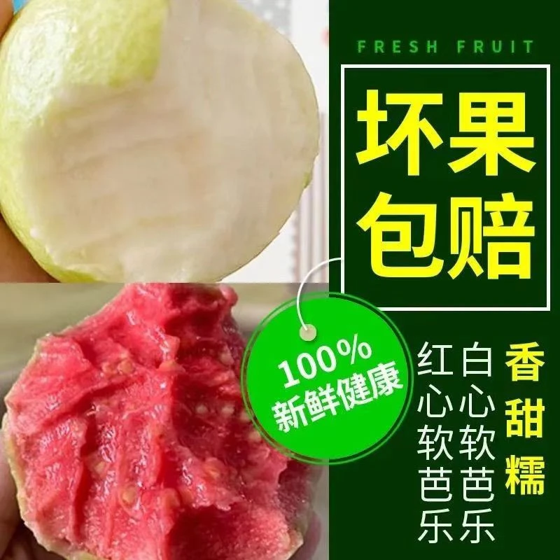 【红白混装】广西现摘红心番石榴软芭乐新鲜水果白心软芭乐3/5斤