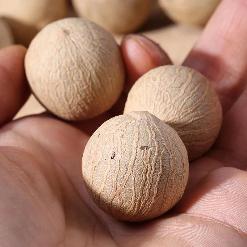 白玉菩提根原籽菩提子白果原果直径11-30mm 菩提根大果原料论斤卖