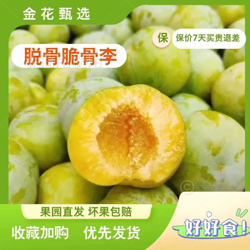 陕西安康岚皋小时候的味道青脆脆骨李果园发货甄选优果顺丰包邮