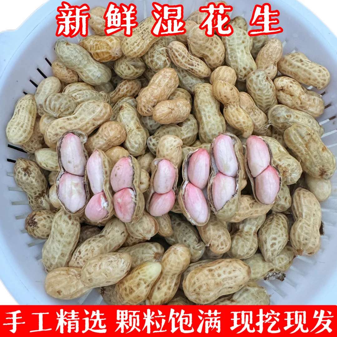 河南现摘现发新鲜湿花生带壳原产地直发农户自种