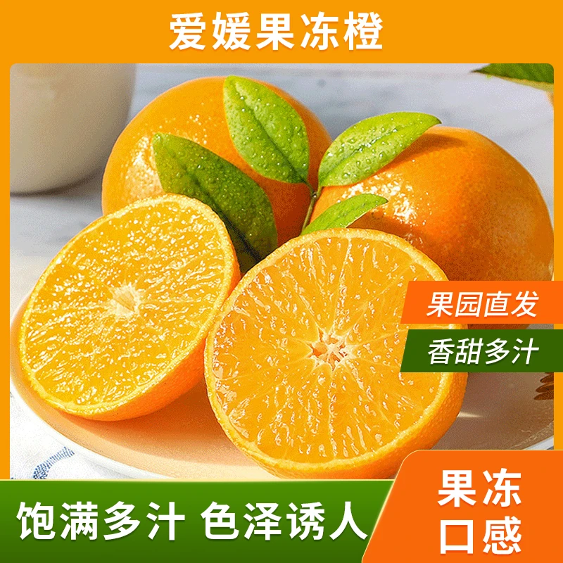 11【正宗爱媛38号】四川眉山果冻橙皮薄香甜爆汁的新鲜水果产地直发