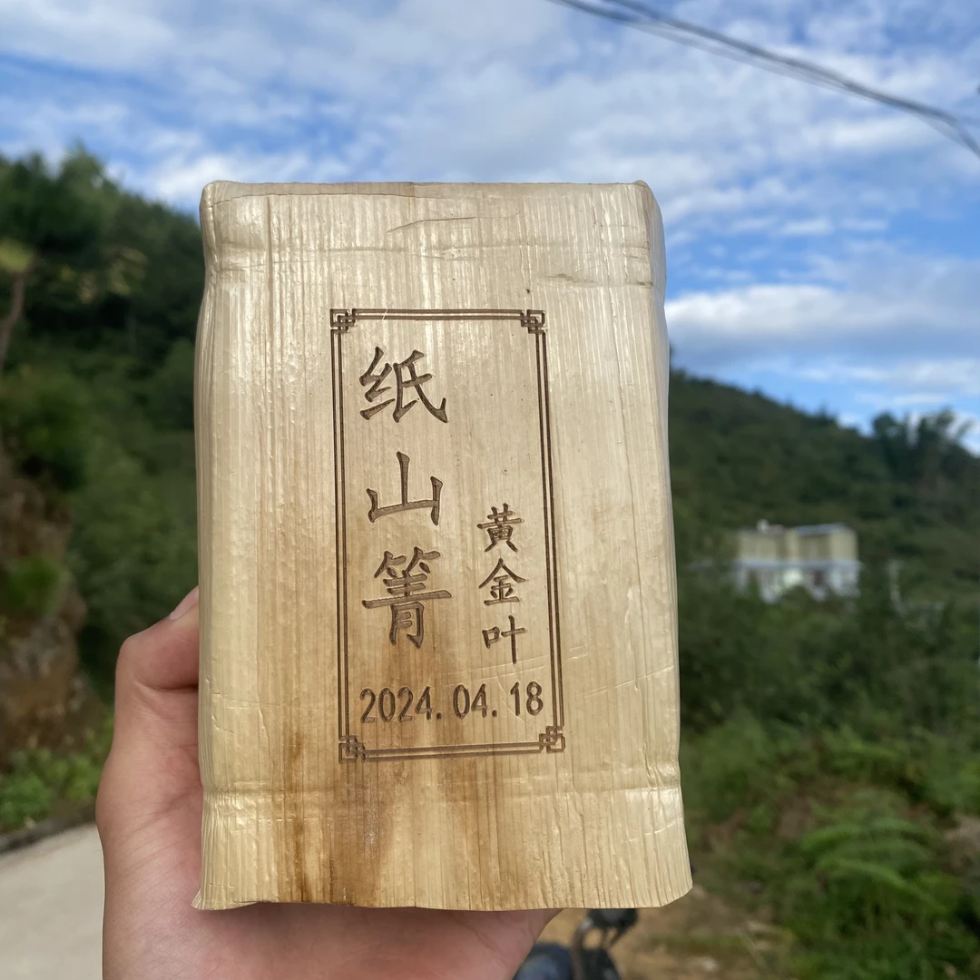 纸山箐古树黄金砖2024（春）