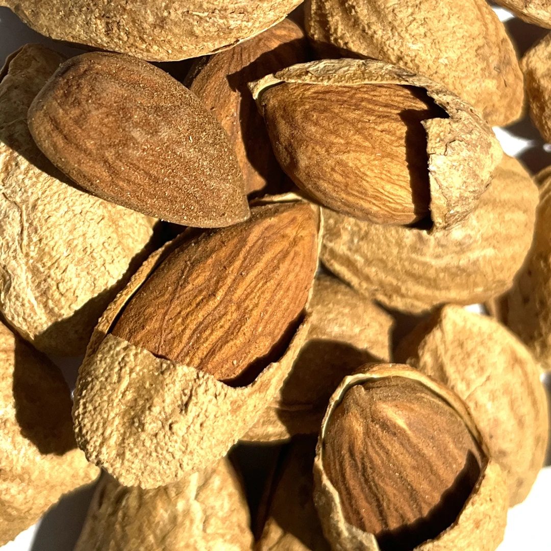 巴旦木坚果美味新疆特产零食2包干果原味大杏仁纸皮香脆炒货饱满