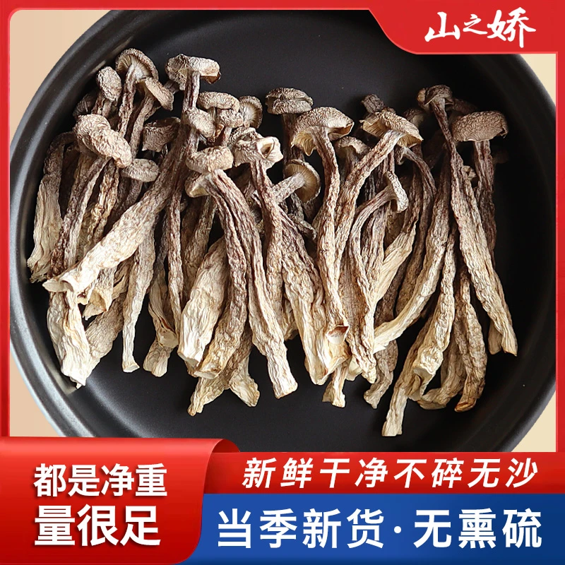 山之娇福建鹿茸菇干货脆脆菇无熏硫新货鹿茸菌菇煲汤食材净重量足