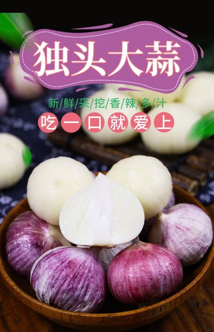 （农民自种）辽宁正宗独头蒜紫皮大蒜头现挖红皮独蒜农家独蒜3/5斤