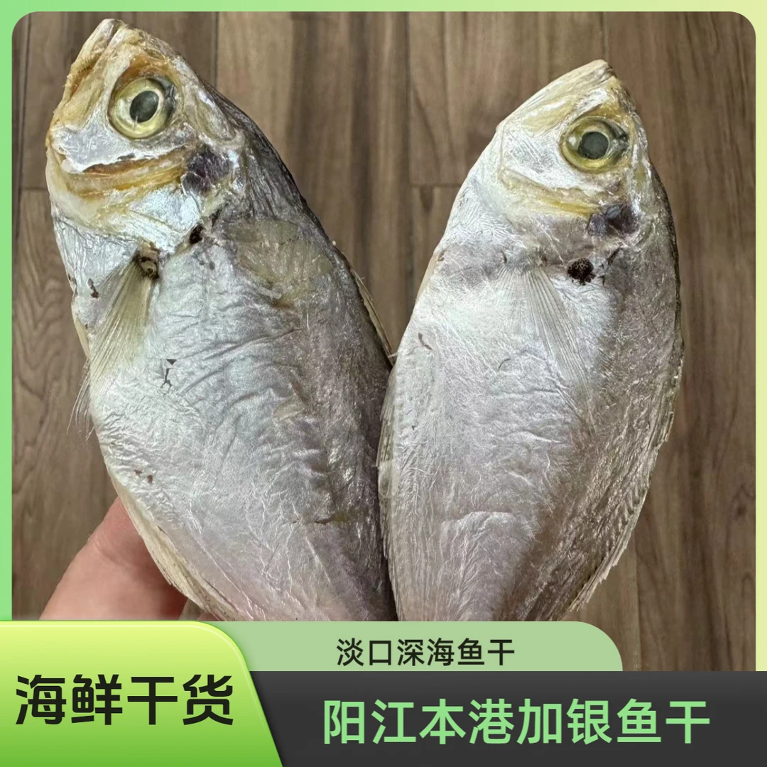 阳江本港加银鱼干深海海鲜鱼干 广东淡口鱼干