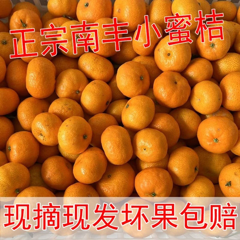 正宗南丰蜜桔小橘子江西蜜桔甜桔无核薄皮非砂糖橘多汁新鲜直供