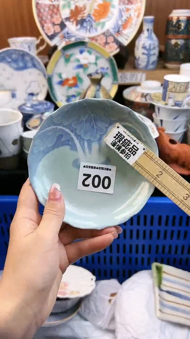 【闪购商品】瓷片002微瑕漏价出介意勿拍