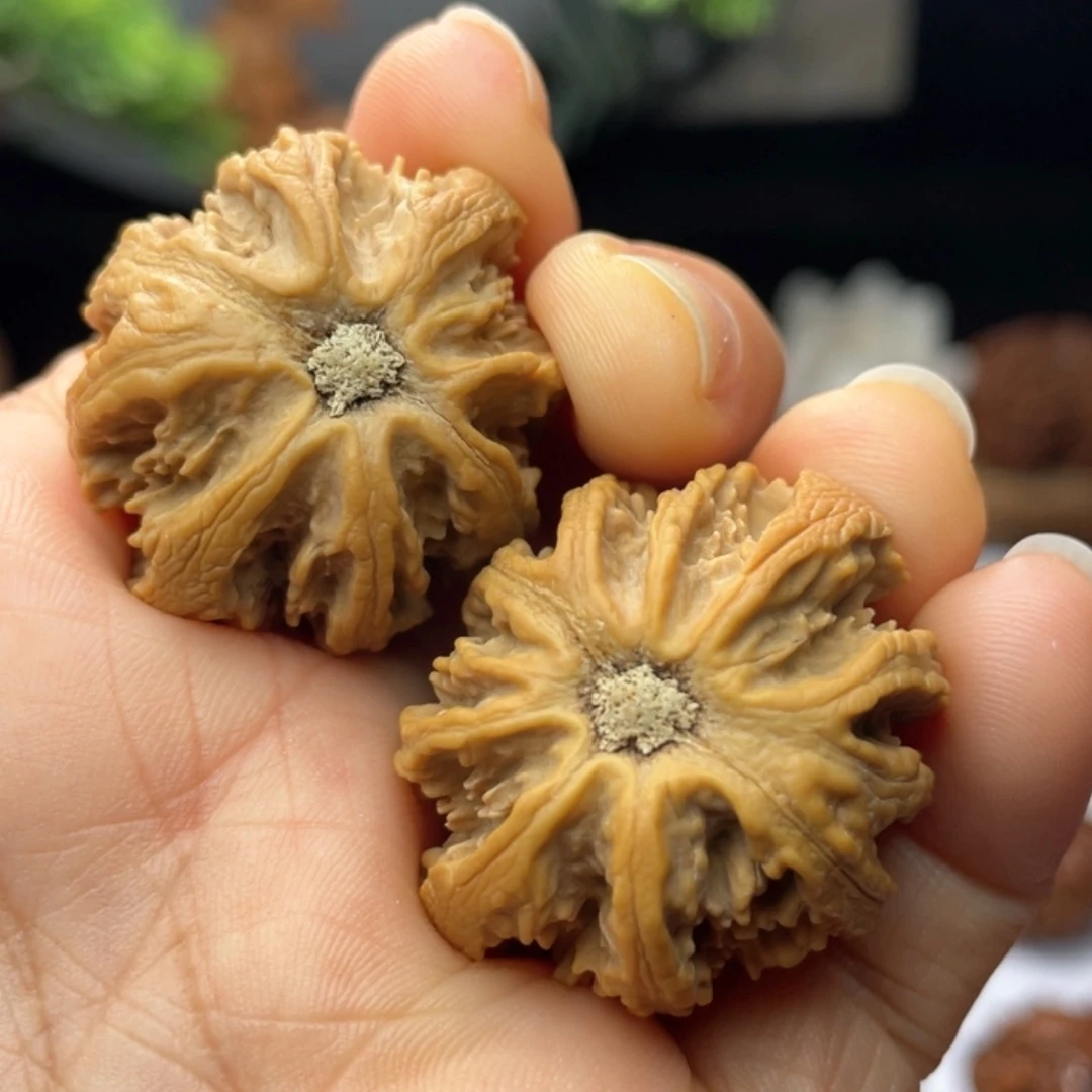 【闪购商品】桃核吊坠82