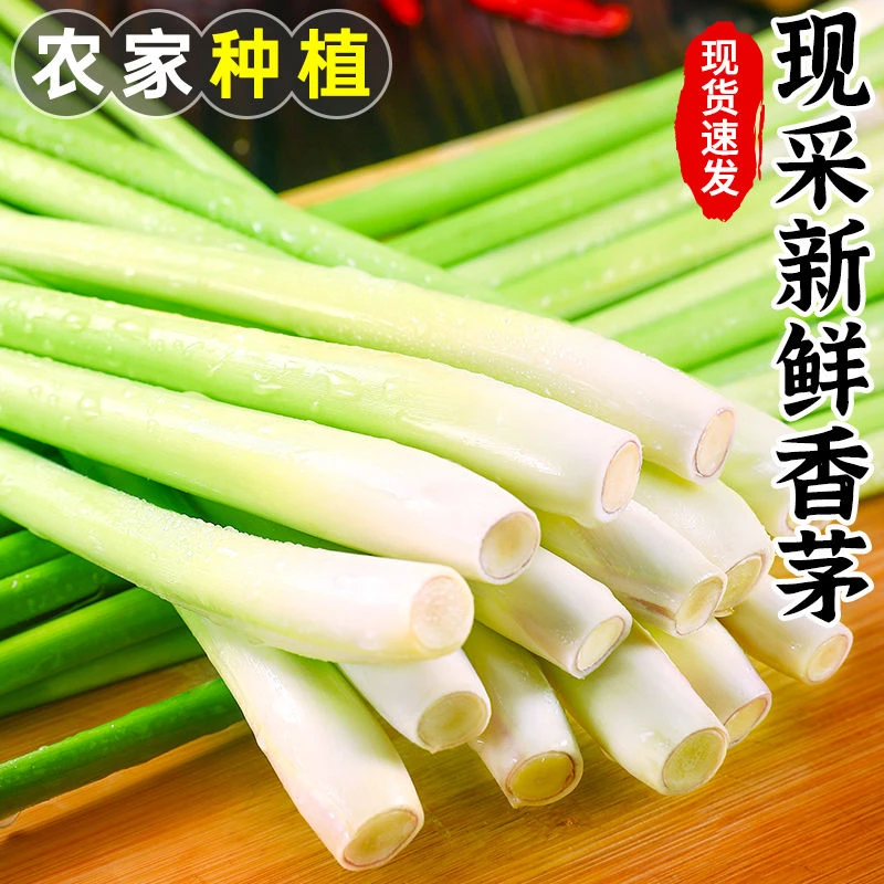 新鲜香茅草柠檬草香茅泰国冬阴功汤料调料蔬菜香料奶茶店用品