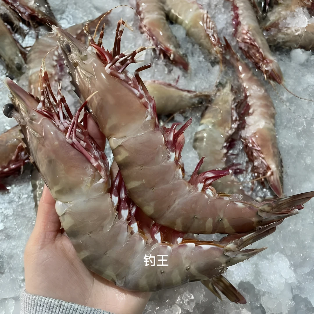 钓王混搭5斤装2斤红脚虾3斤青衣