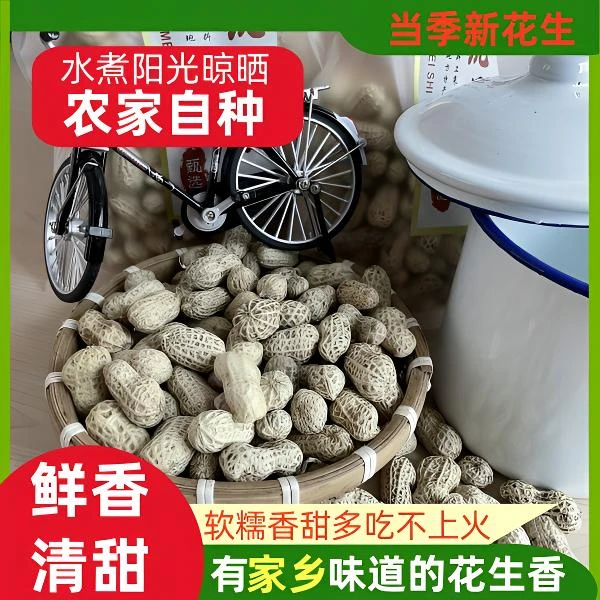 当季广东河源美味白玉咸干花生健康水煮花生干果坚果零食观赛搭子