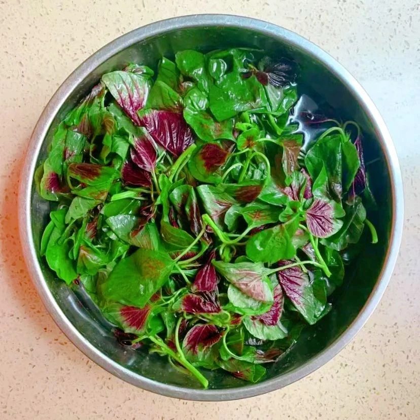 红苋菜 新鲜蔬菜上海农家自种 红旱菜露天蔬菜现摘汉菜红米苋包邮