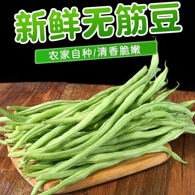 新鲜现摘四季豆无筋豆架豆无丝豆蔬菜云南芸豆高原豆角农家现发