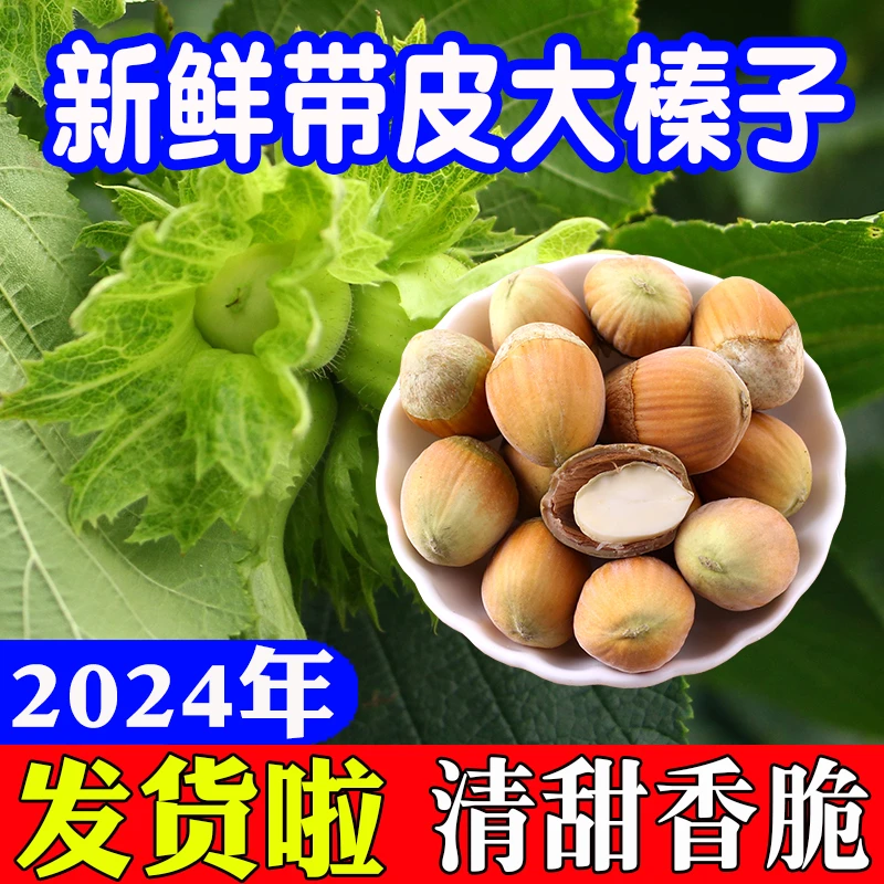 新鲜带皮大榛子2024年水仁榛子绿皮生榛子坚果干果500g东北特产