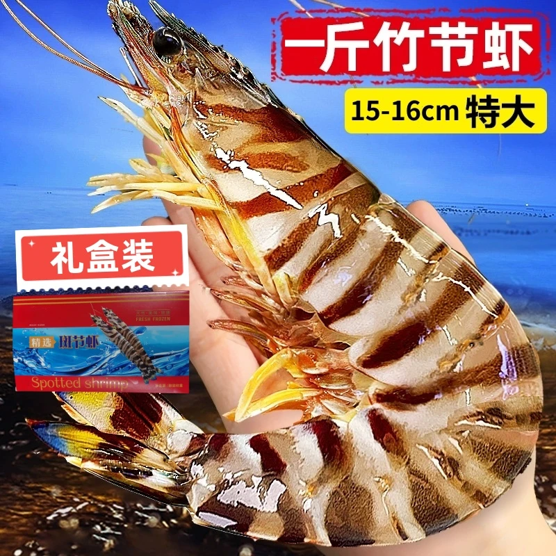 福建东海新鲜海捕大号斑节虾九节虾基围虾烤虾大虾竹节花虾500g