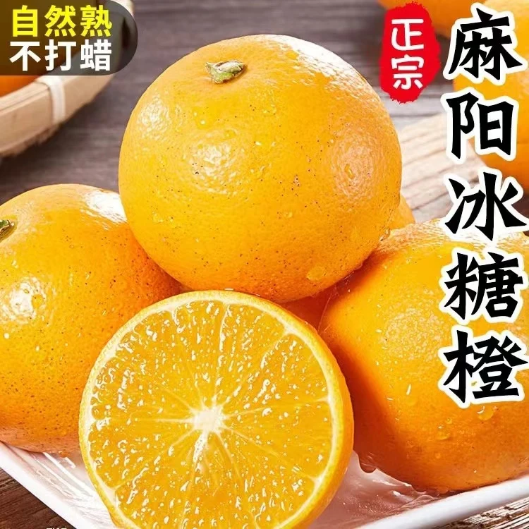 【现摘现发】湖南麻阳冰糖橙当季手剥甜橙子新鲜水果爆甜多汁五斤装