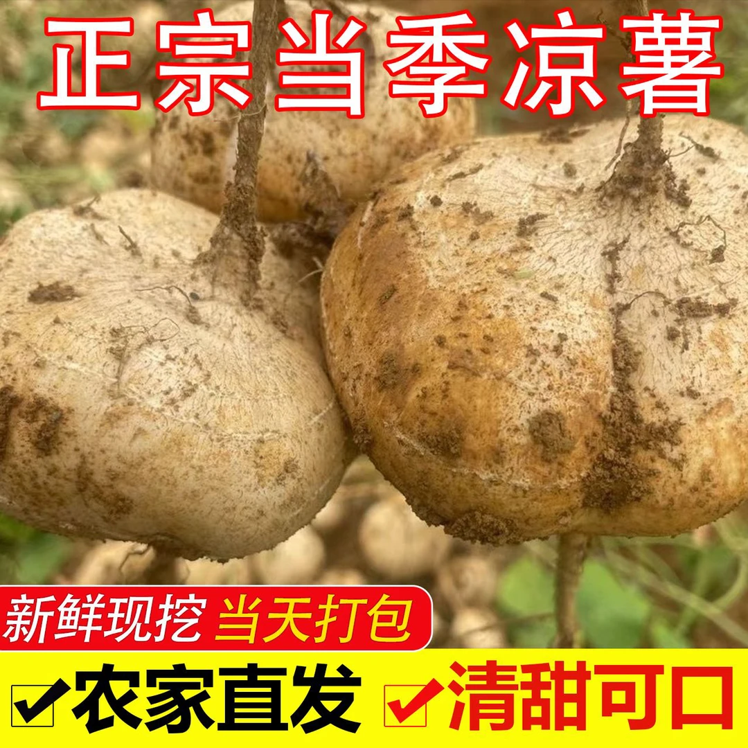 湖南麻阳【助农】当季新鲜蔬菜现挖凉薯水果番薯地萝卜杨芍5/9斤