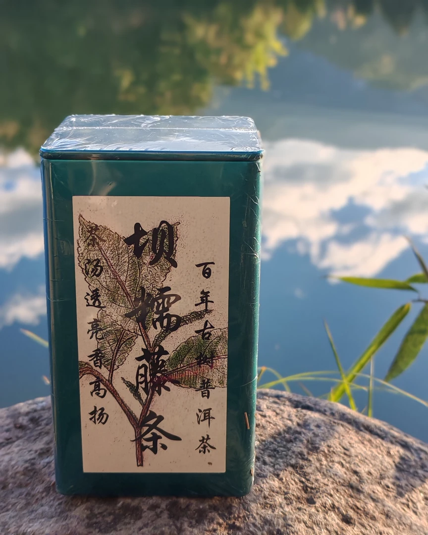 云南坝糯藤条晒青绿茶