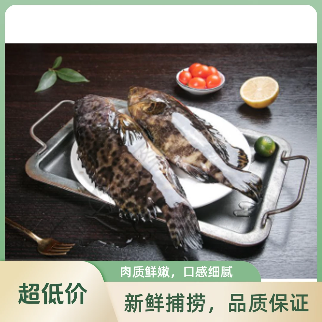 野生老虎斑清蒸顺丰发货
