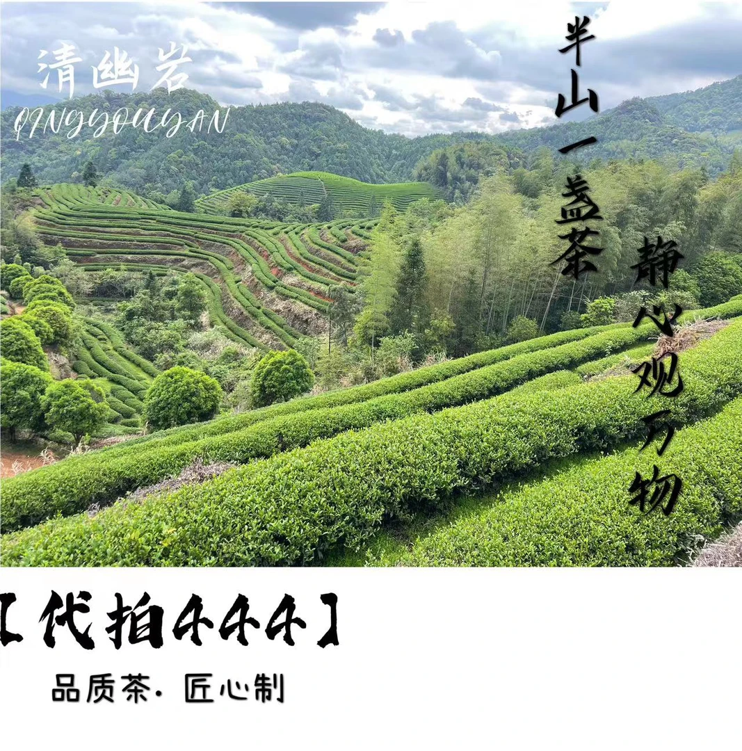 【代拍444】武夷岩茶大红袍