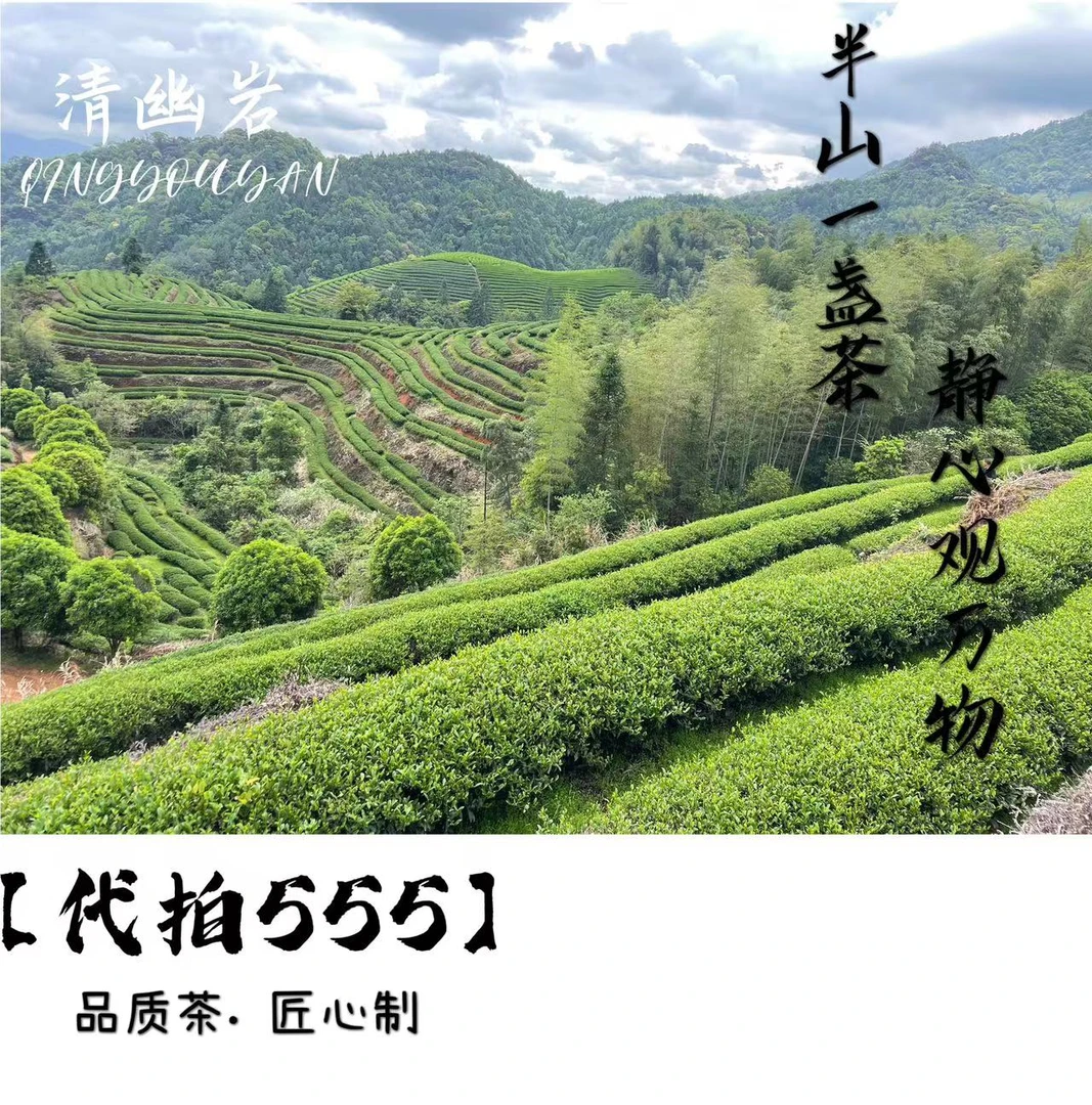 【代拍555】武夷岩茶大红袍