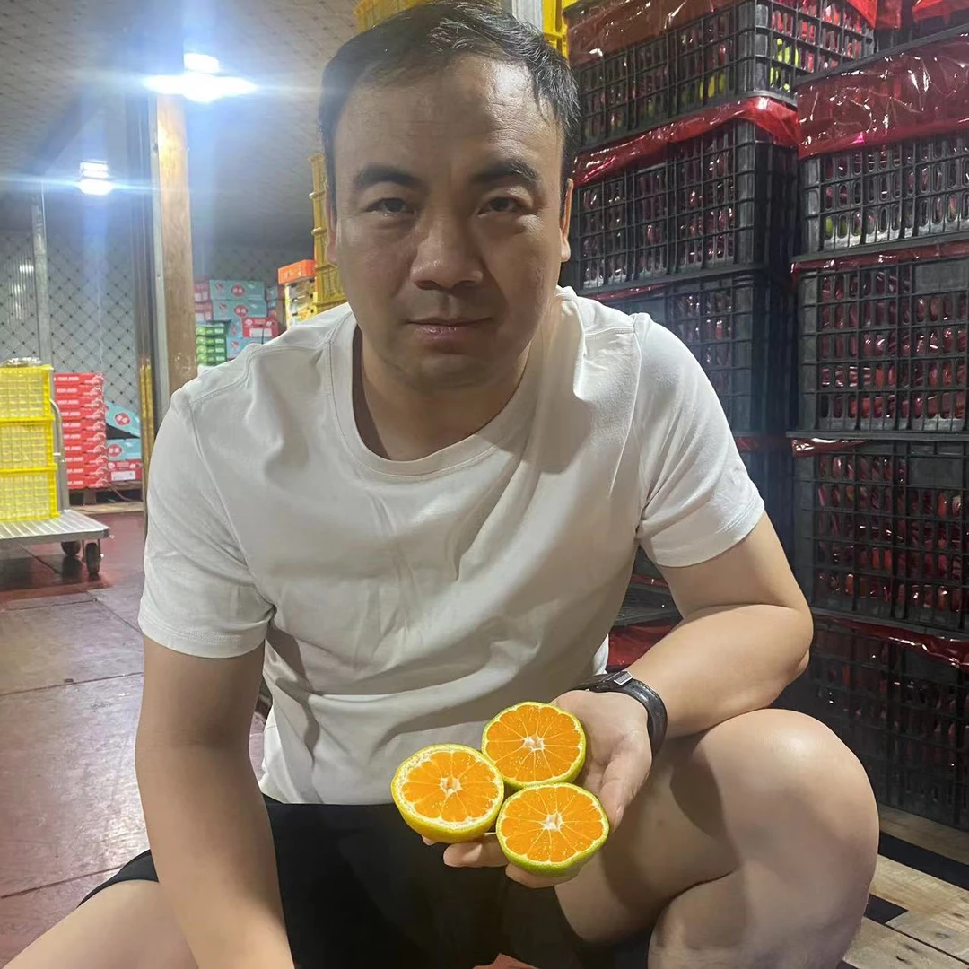 三宝爸6斤云南蜜桔 新鲜水果 产地采摘 好吃水分足纯甜