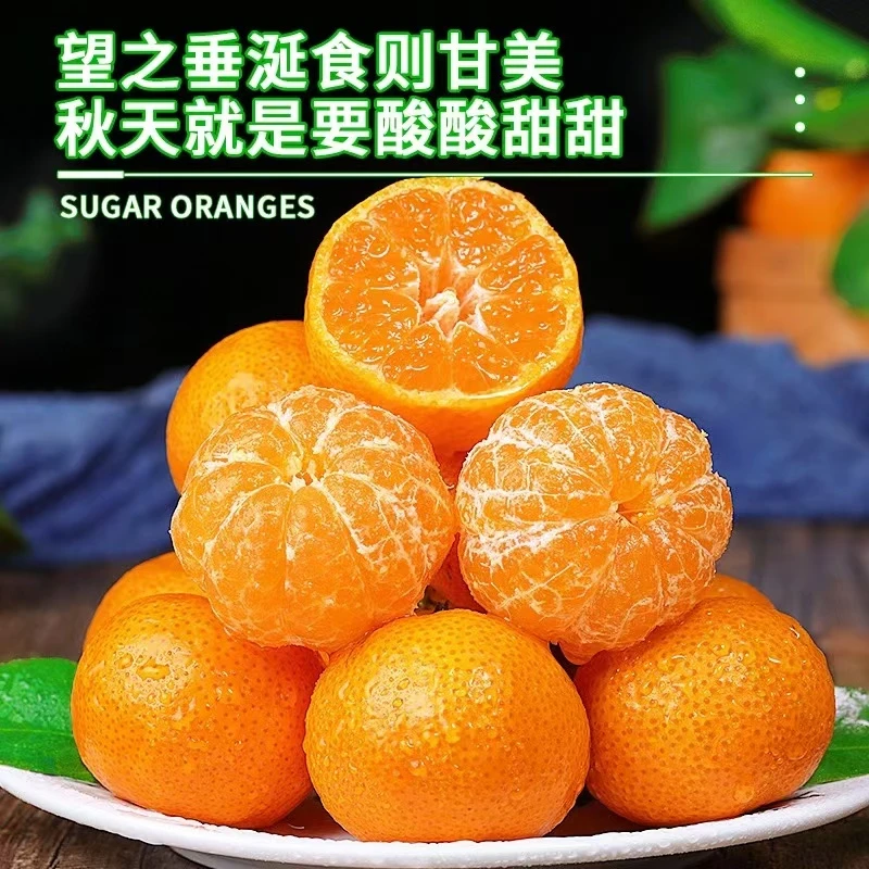 三宝爸 8斤砂糖橘 新鲜水果 好吃纯甜