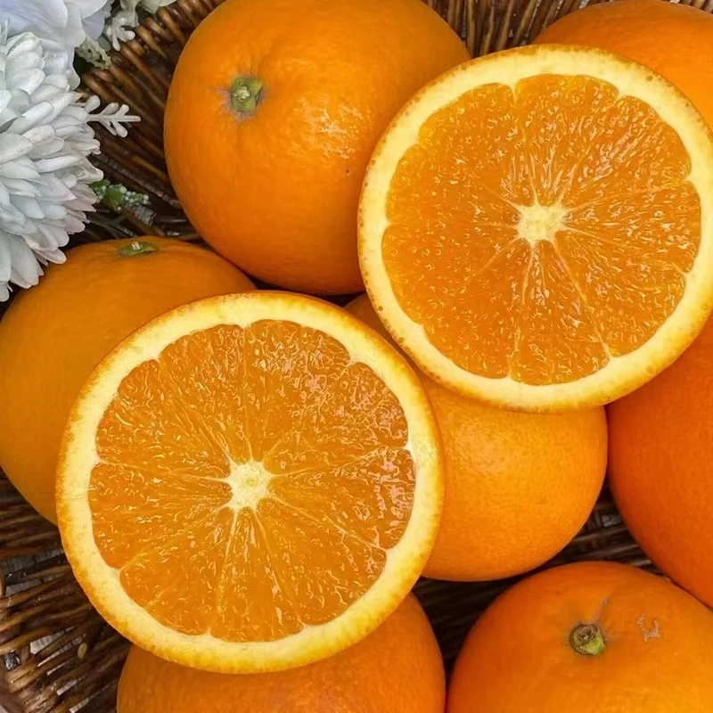 三宝爸甄选赣南脐橙约重8斤