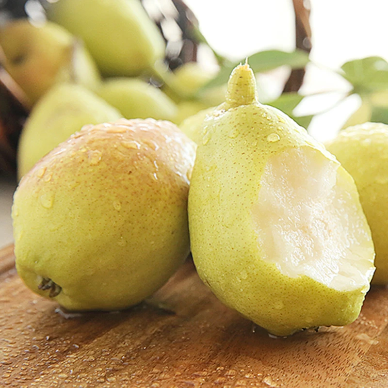 西域美农新疆库尔勒香梨5斤装 一级果 新鲜水果生鲜西安仓发货