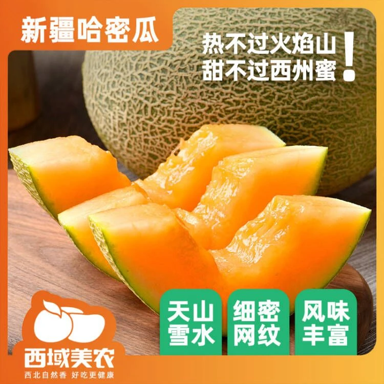 西域美农新疆西州蜜哈密瓜5-11斤 水果产地直发陆地瓜顺丰快递