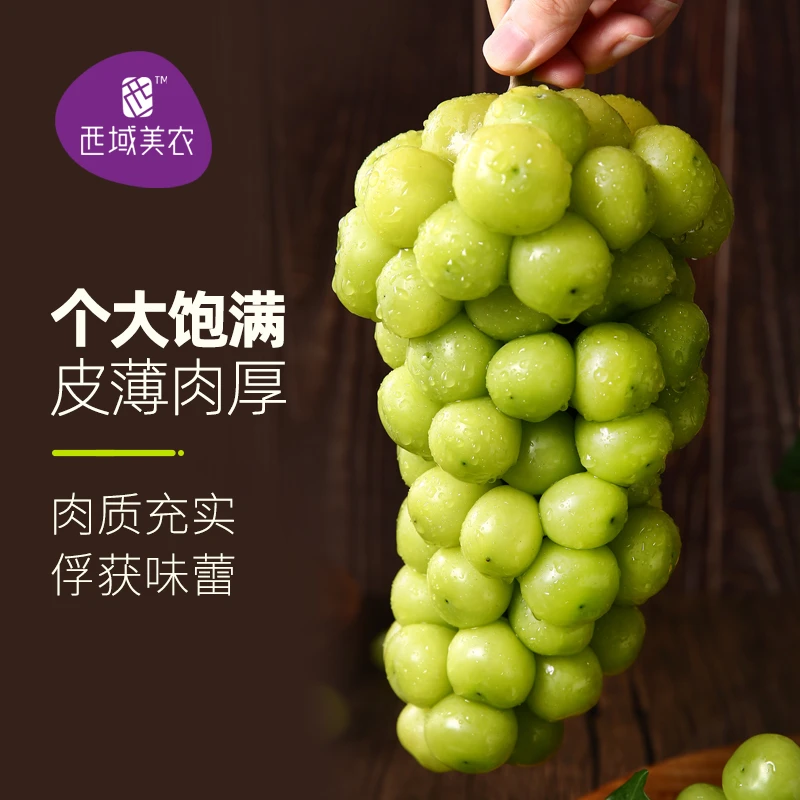 西域美农陕西阳光玫瑰青提 新鲜葡萄3/4斤装肉厚无籽酸甜汁水多