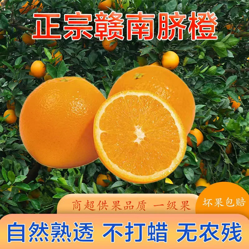 【净重9斤】正宗赣南脐橙新鲜采摘现发化渣汁水多橙子包邮