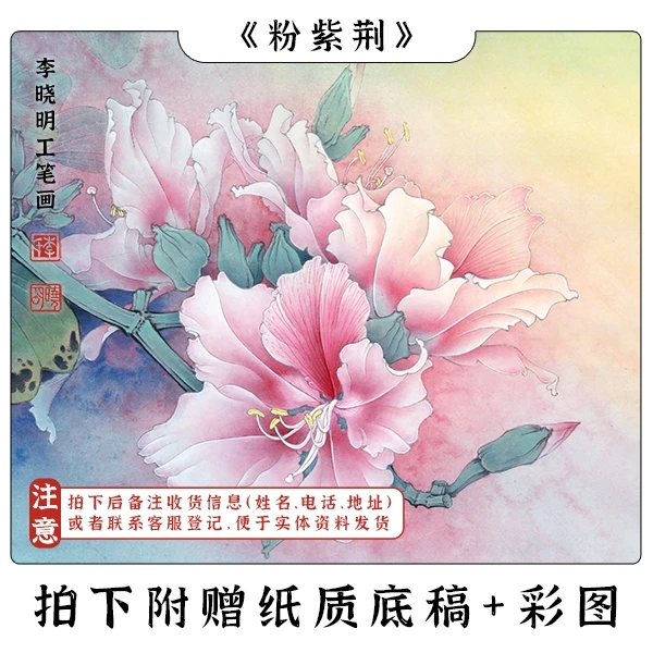 李晓明《粉紫荆》工笔画课程教学38*34cm 初学者工笔小品