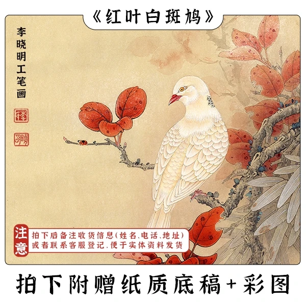 李晓明《红叶白斑鸠》视频课程教学40*62cm 工笔花鸟