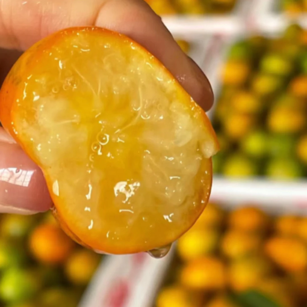 脆蜜金柑一斤装