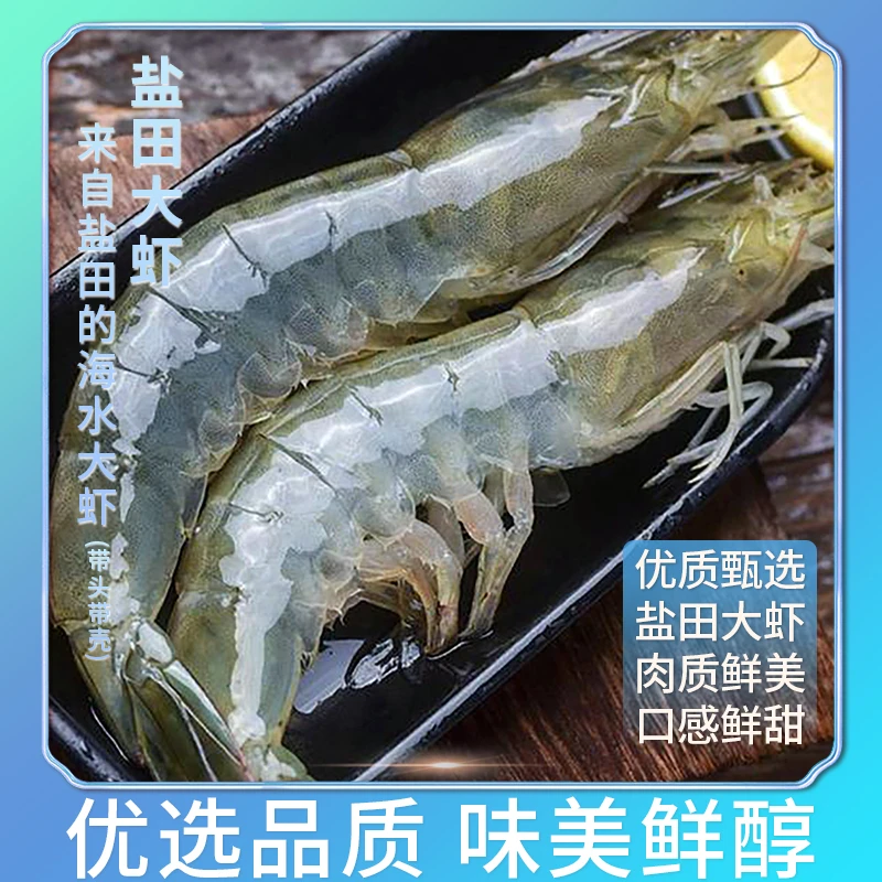 【粉丝专享】渤海湾天津汉沽本地盐田虾现捞先发新鲜速冻净重3斤