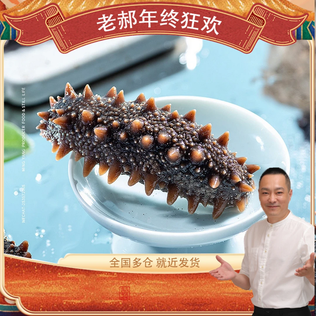 鲜食海参 营养滋补 到手2斤 15—18头