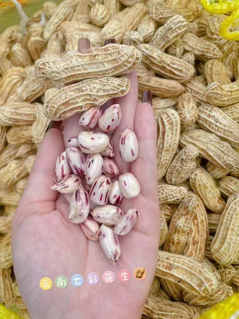 《表妹儿严选》云岚七彩花生新鲜花生颗粒饱满香味浓郁