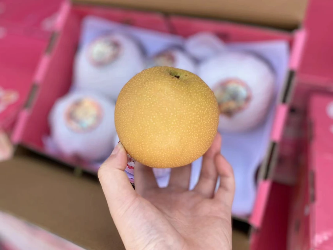 秋月梨月圆人圆甜甜美美 圆润饱满刑美如月礼盒包装