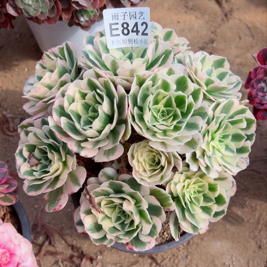 842雨后的天空是