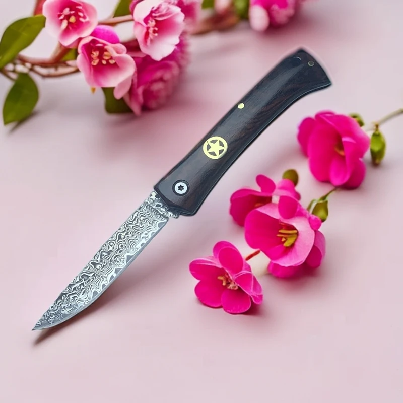 BTY新款五星折红檀木柄 匠心锻造家用户外便携大马士革小刀