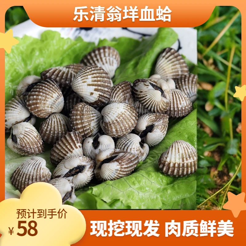 【良哥专属】正宗温州血蛤乐清翁垟特产丝蛤血蚶司蚶