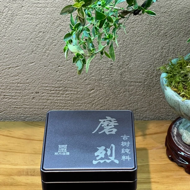 【磨烈】2024年 下磨烈（绿水塘单株）