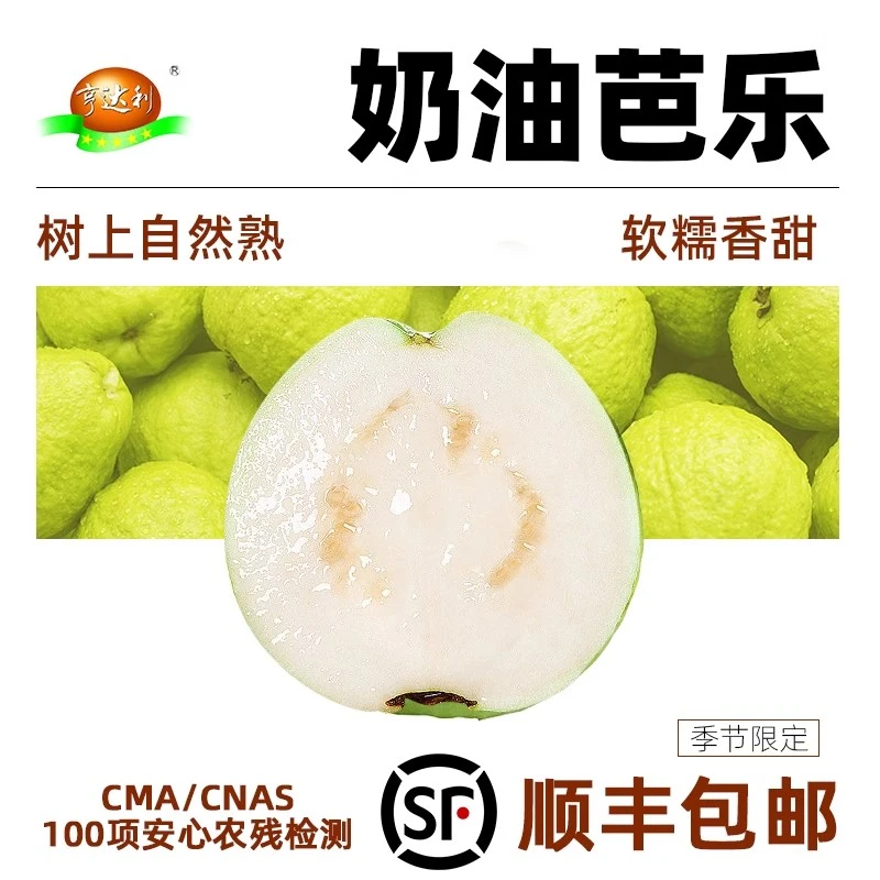 【新鲜速发】奶油白心芭乐新鲜包邮3斤/5斤大果A级果当季水果