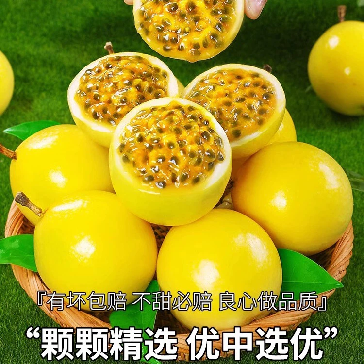 【12个装】A正宗广西钦蜜9号百香果产地直发8-9分甜1-2酸