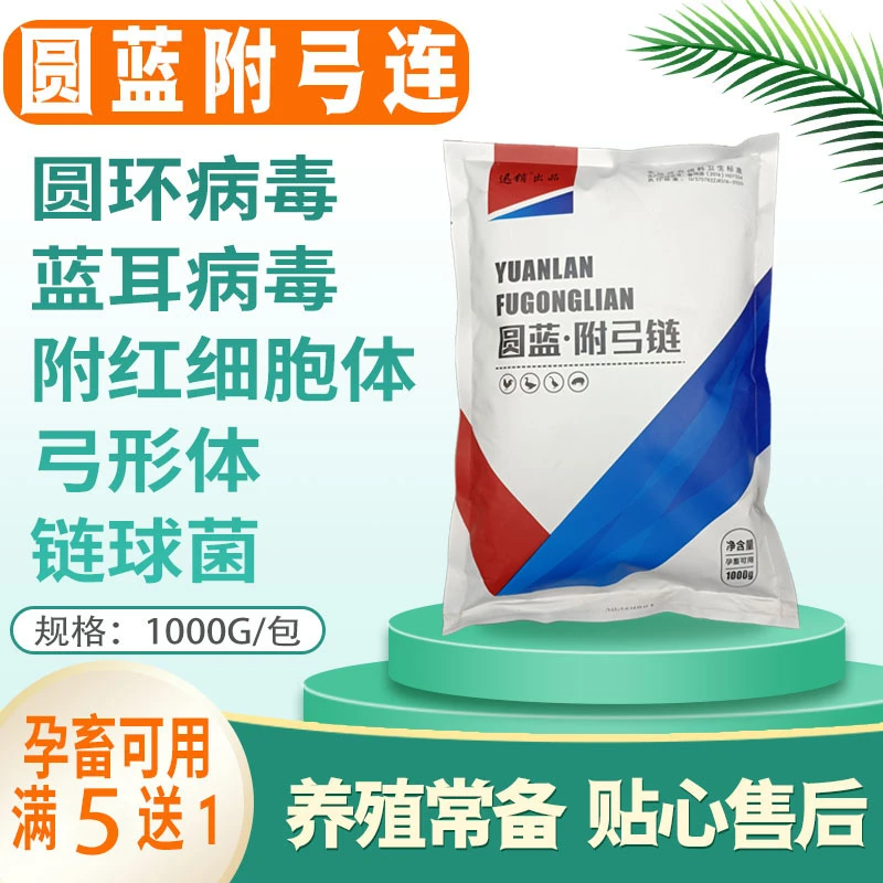 蓝耳净化套餐畜牧非瘟蓝耳圆环病毒抗病毒圆蓝附弓链饲料添加剂